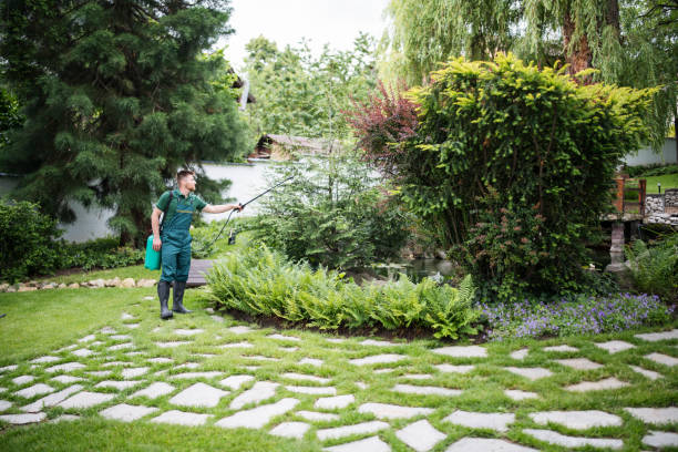 Best Residential Pest Control  in Creston, IA