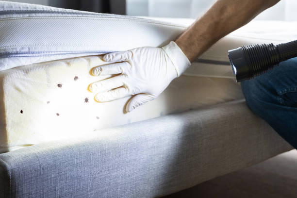  Creston, IA Pest Control Pros