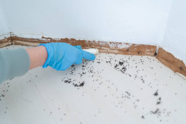 Best Commercial Pest Control Services  in Creston, IA